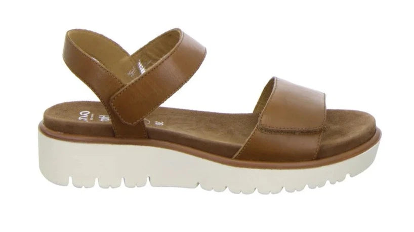 Ara 12-33518-09 Cognac
