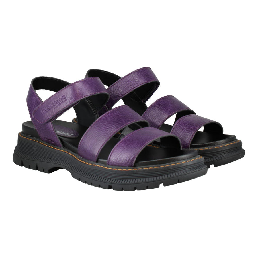 Westland 769528 Peyton 08 780 754 Purple